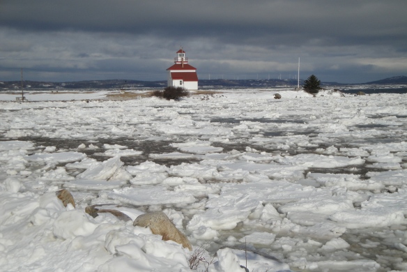 unusual winter with St Marys Bay filled with frozen ice